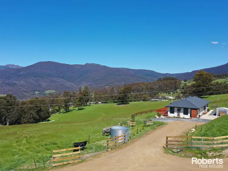 Main view of Homely rural property listing, 119 Moss Beds Road, Lachlan TAS 7140