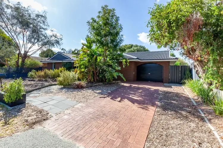 7 Saffron Court, Kelmscott WA 6111