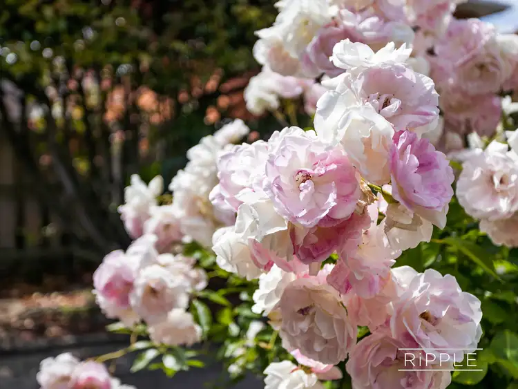 Fifth view of Homely unit listing, 2/26 Golf Links Road, Geilston Bay TAS 7015