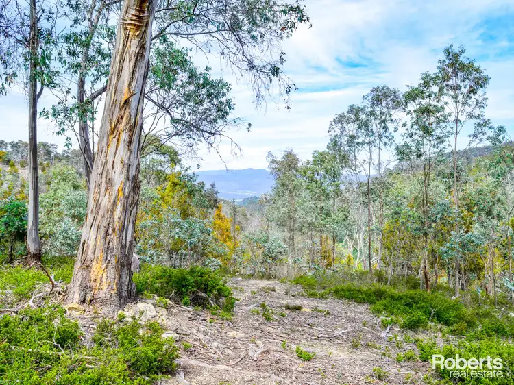 869 Back River Road, Magra TAS 7140