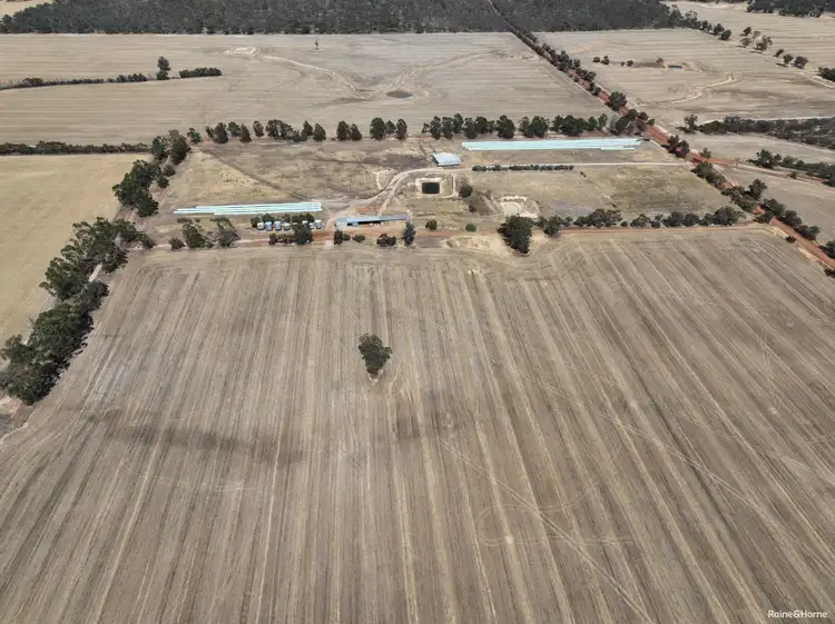 Main view of Homely rural property listing, 124 Highbury East Road, Highbury WA 6313