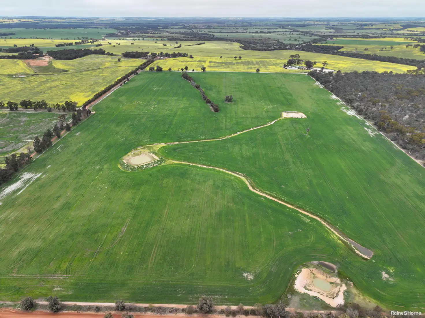 Main view of Homely rural property listing, 124 Highbury East Road, Highbury WA 6313