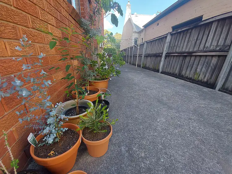 Fifth view of Homely studio listing, 11/41 LORD STREET, Newtown NSW 2042