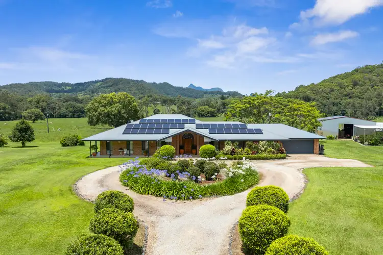 981 Numinbah Road, Crystal Creek NSW 2484
