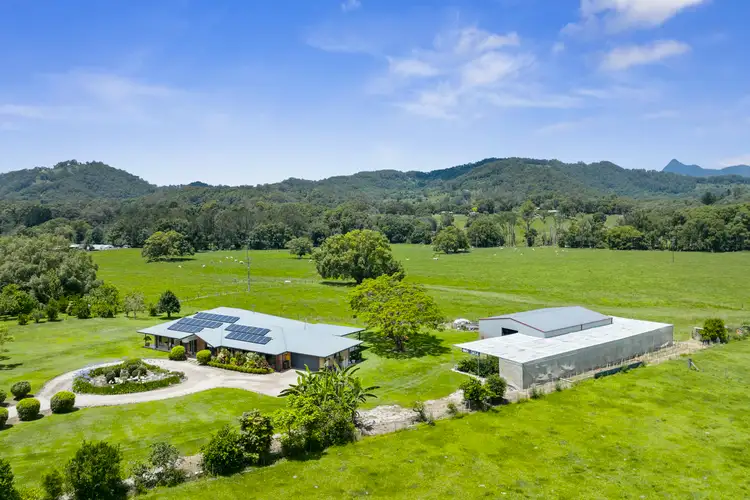 981 Numinbah Road, Crystal Creek NSW 2484