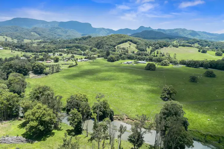 Third view of Homely rural property listing, 981 Numinbah Road, Crystal Creek NSW 2484