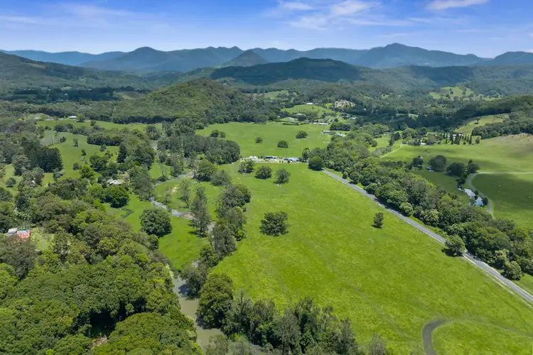 Fifth view of Homely rural property listing, 981 Numinbah Road, Crystal Creek NSW 2484