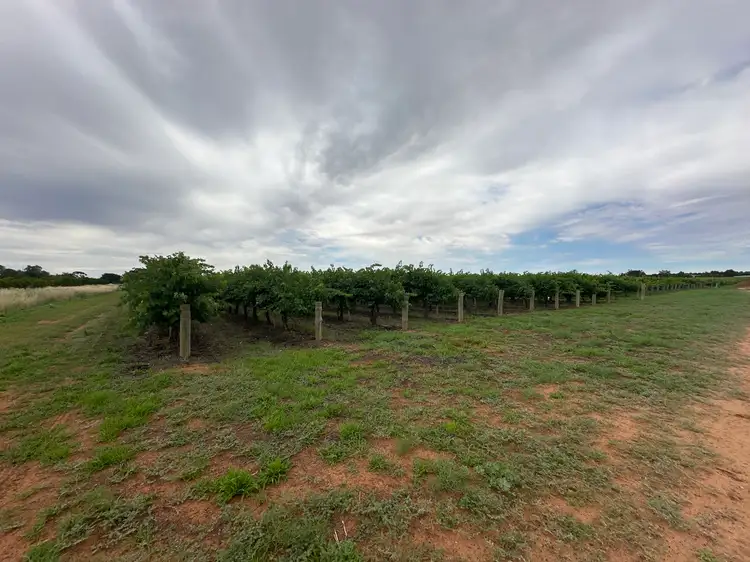 Lot 201 Jury Road, Monash SA 5342