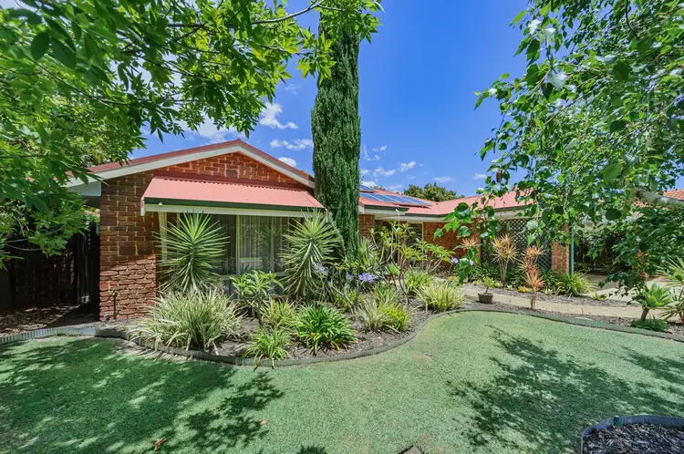 Seventh view of Homely house listing, 12 Mcalvey Place, Canning Vale WA 6155