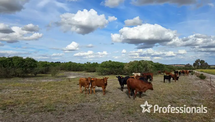 Fourth view of Homely rural property listing, Address available on request