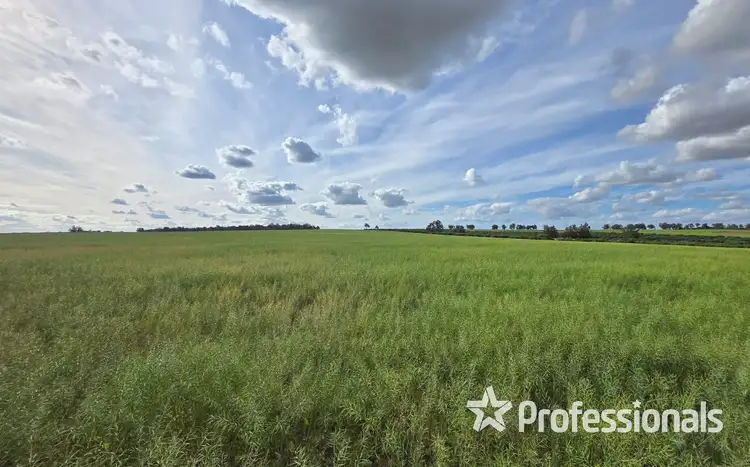 Fifth view of Homely rural property listing, Address available on request