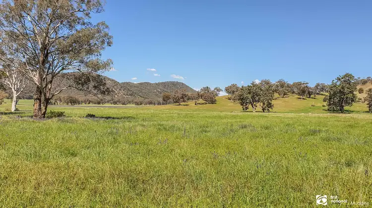 Main view of Homely rural property listing, 1532 Castlereagh Highway, Mudgee NSW 2850