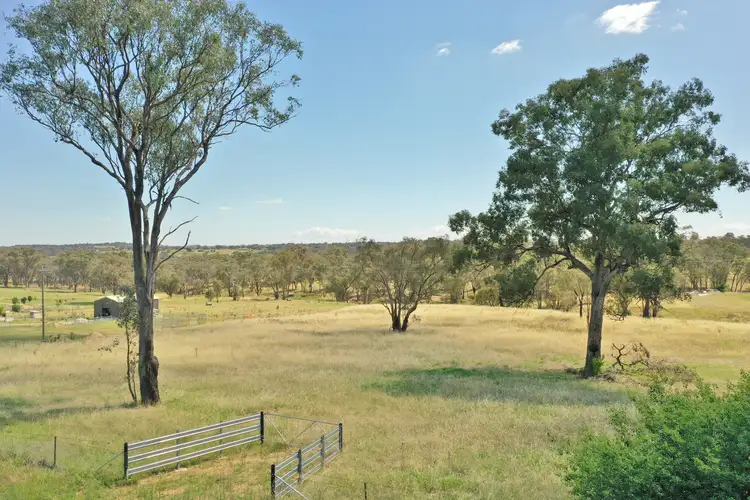3330 Moppity Road, Young NSW 2594