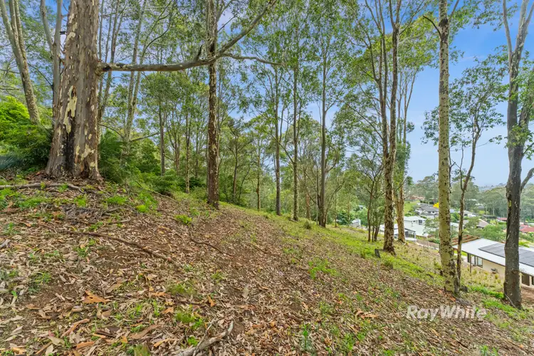 Third view of Homely land listing, 33 Berrima Street, Catalina NSW 2536