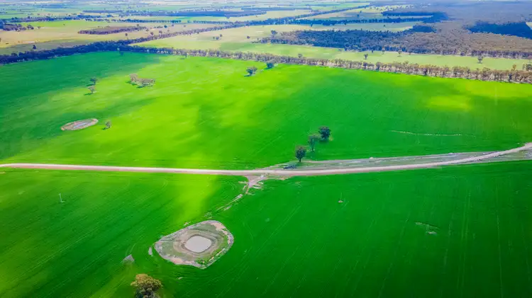 Fourth view of Homely rural property listing, 'Marooma' 207 Jepsons Road, Bectric NSW 2665