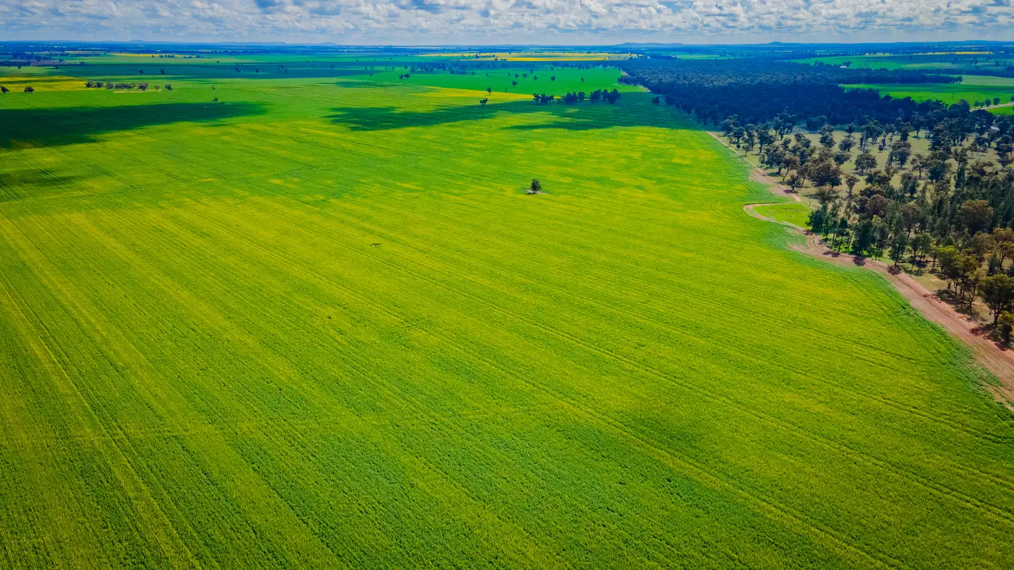 Main view of Homely rural property listing, 0/'Snowies' Plemings Lane, Coolamon NSW 2701