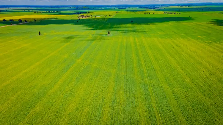 Third view of Homely rural property listing, 0/'Snowies' Plemings Lane, Coolamon NSW 2701