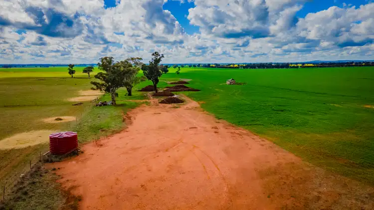 Fourth view of Homely rural property listing, 0/'Snowies' Plemings Lane, Coolamon NSW 2701