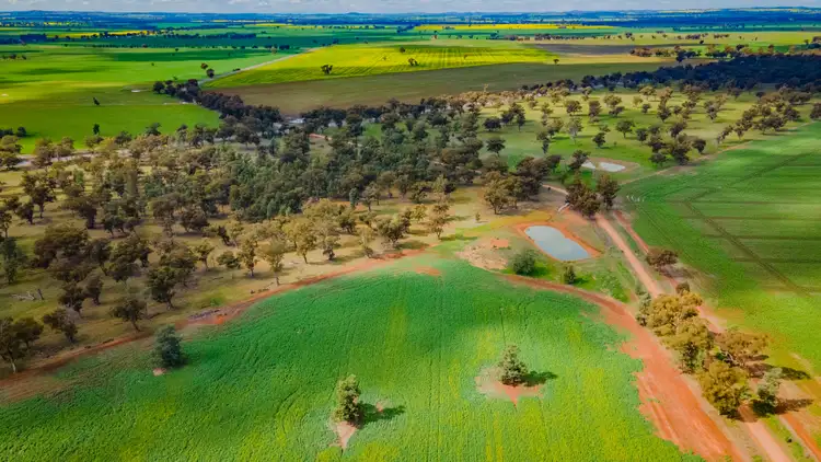 Fifth view of Homely rural property listing, 0/'Snowies' Plemings Lane, Coolamon NSW 2701