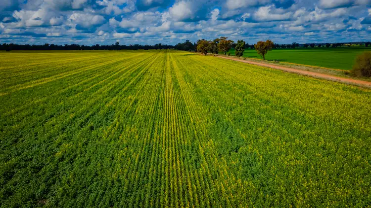 Sixth view of Homely rural property listing, 0/'Snowies' Plemings Lane, Coolamon NSW 2701