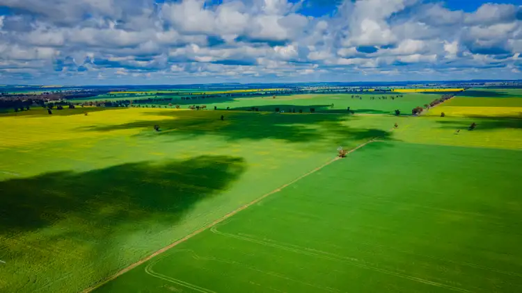 Seventh view of Homely rural property listing, 0/'Snowies' Plemings Lane, Coolamon NSW 2701