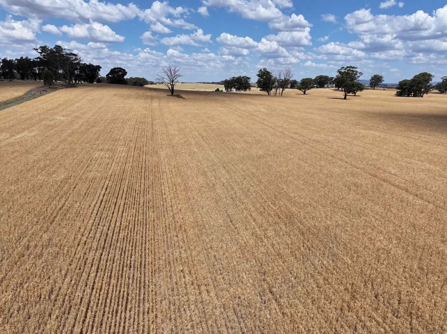 Main view of Homely rural property listing, 'Quondi', Dirnaseer Road, Combaning NSW 2666