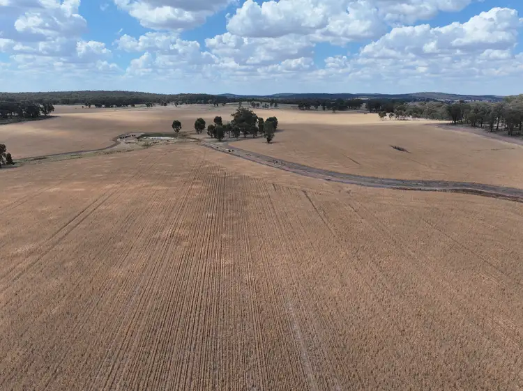 Third view of Homely rural property listing, 'Quondi', Dirnaseer Road, Combaning NSW 2666