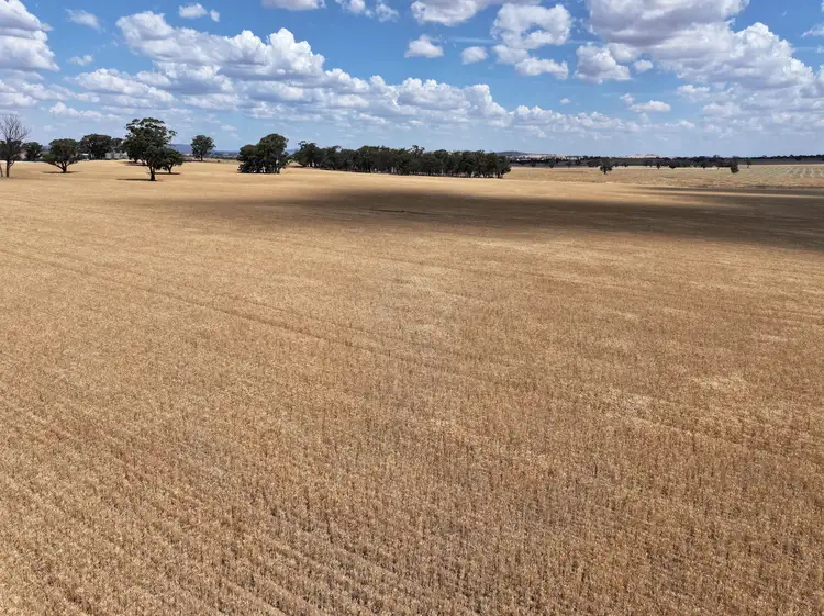 Fourth view of Homely rural property listing, 'Quondi', Dirnaseer Road, Combaning NSW 2666