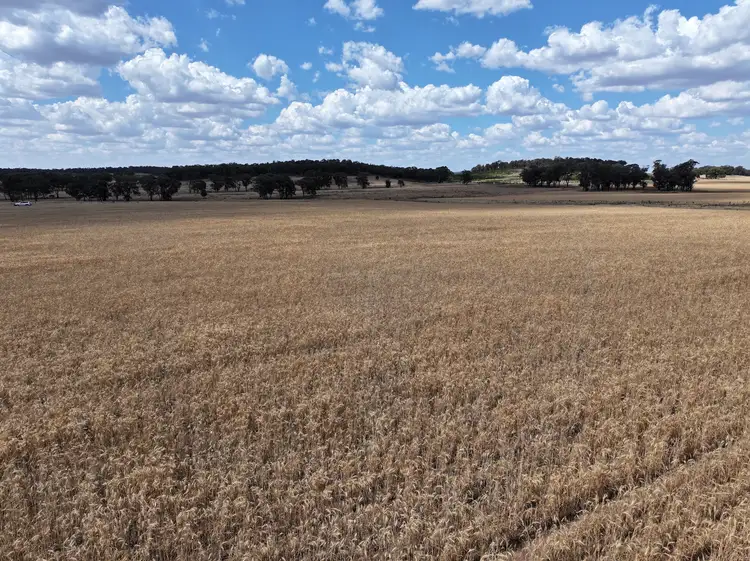 Fifth view of Homely rural property listing, 'Quondi', Dirnaseer Road, Combaning NSW 2666