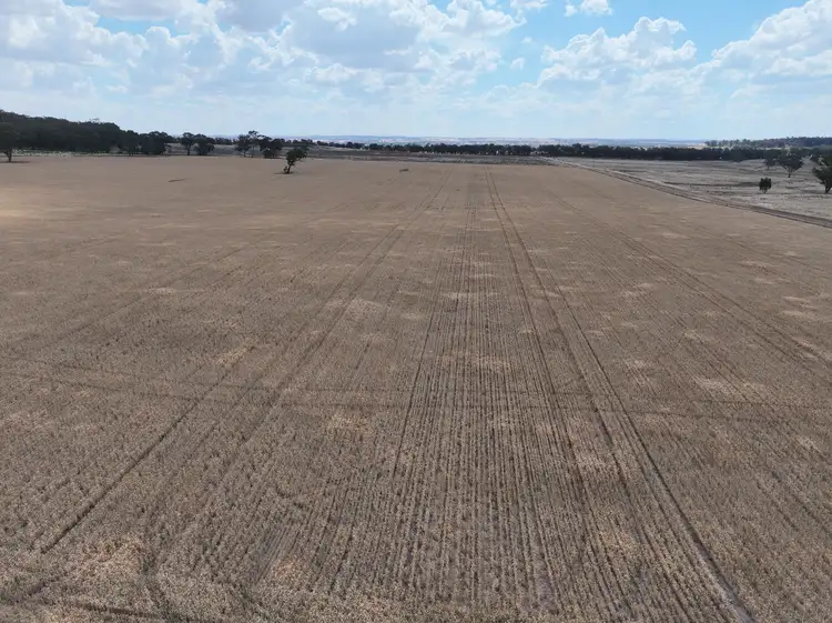 Sixth view of Homely rural property listing, 'Quondi', Dirnaseer Road, Combaning NSW 2666