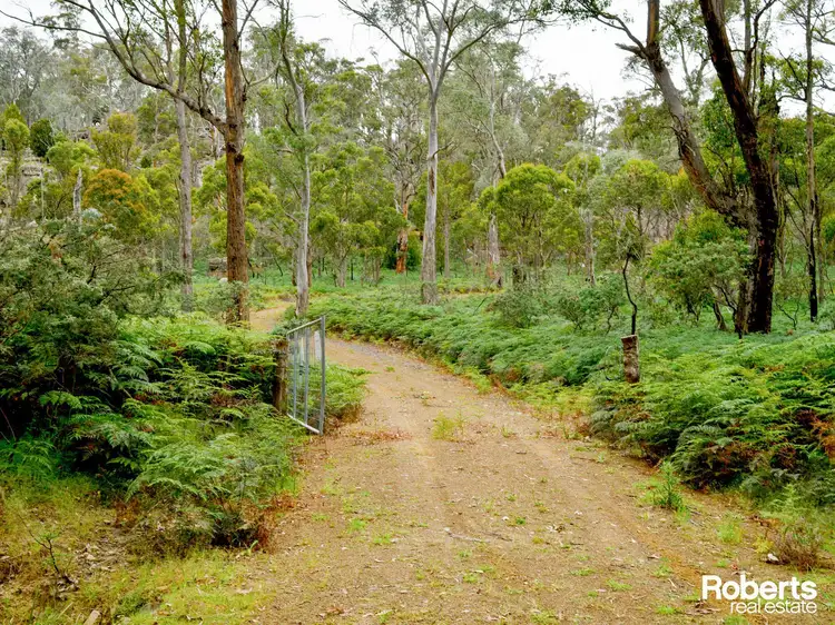 Lot 1 Marked Tree Road, Hamilton TAS 7140