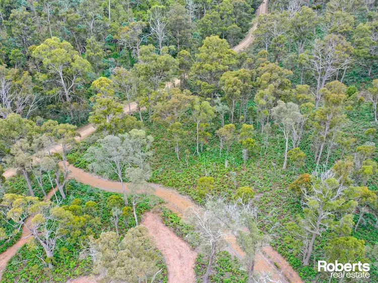 Third view of Homely land listing, Lot 1 Marked Tree Road, Hamilton TAS 7140