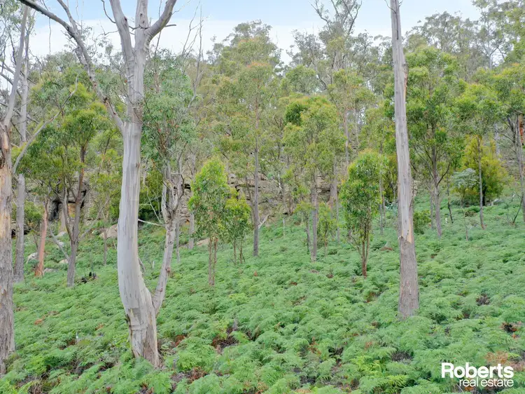 Fourth view of Homely land listing, Lot 1 Marked Tree Road, Hamilton TAS 7140