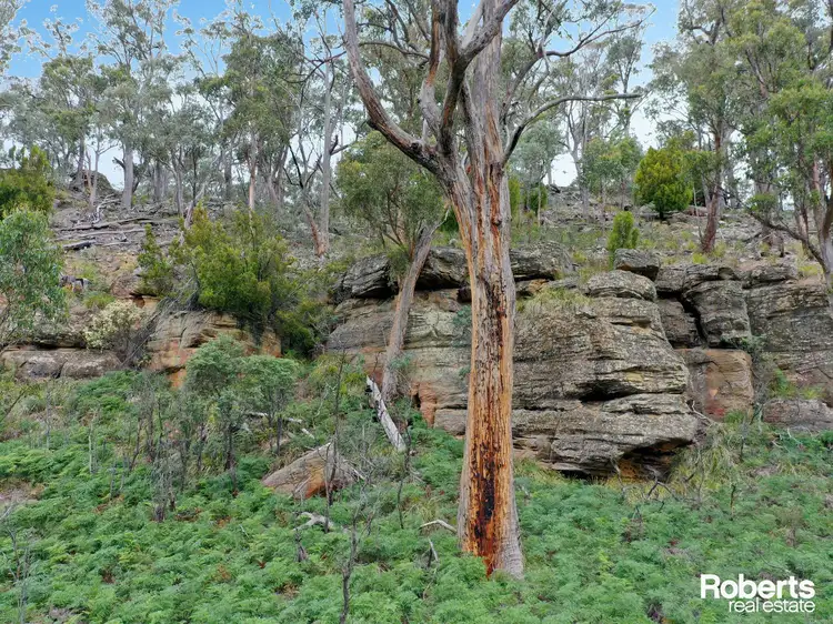 Fifth view of Homely land listing, Lot 1 Marked Tree Road, Hamilton TAS 7140