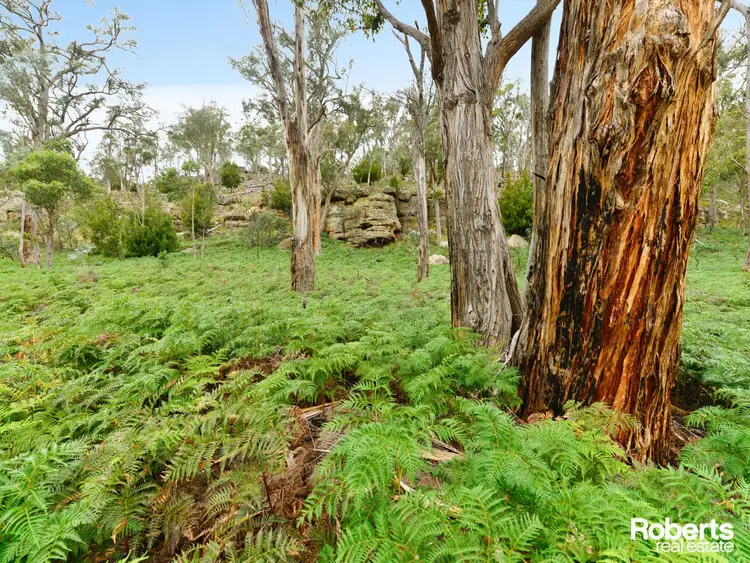 Sixth view of Homely land listing, Lot 1 Marked Tree Road, Hamilton TAS 7140