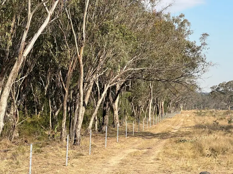 Fifth view of Homely rural property listing, LOT 12 MEIKLEJOHN ROAD, Karara QLD 4352