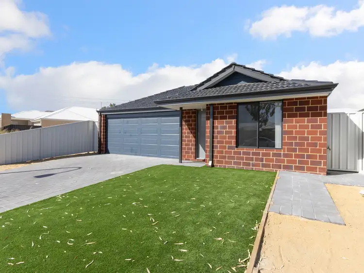 Third view of Homely house listing, 16 Braeburn Loop, Wattle Grove WA 6107