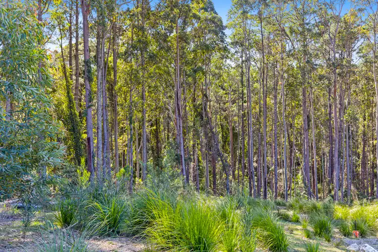 Second view of Homely house listing, Lot 31/ Lot 67 Northcove Road, Long Beach NSW 2536