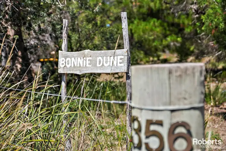 Fifth view of Homely house listing, 356 Dolphin Sands Road, Dolphin Sands TAS 7190