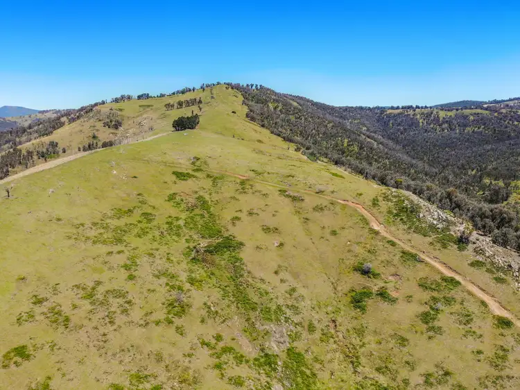 Fifth view of Homely rural property listing, 11/617793 Stewarts Road, Batlow NSW 2730