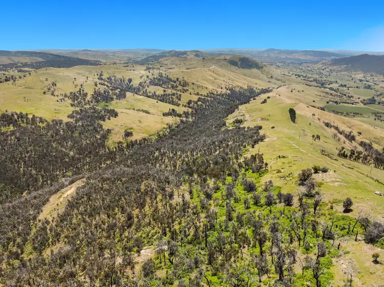 Seventh view of Homely rural property listing, 11/617793 Stewarts Road, Batlow NSW 2730