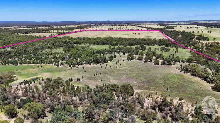 79 Yarranabee Road, Baan Baa NSW 2390