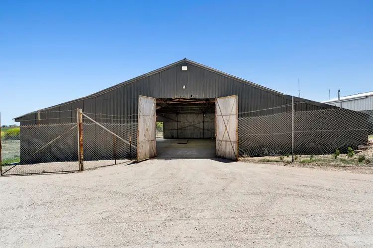 89 Hardy Road, Waikerie SA 5330