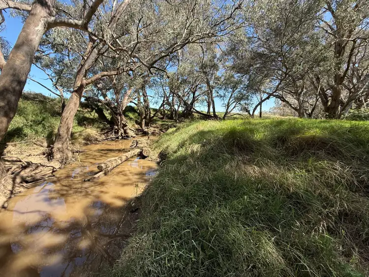 Fifth view of Homely rural property listing, 2255 Newell Highway, Tichborne NSW 2870