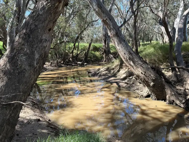 Sixth view of Homely rural property listing, 2255 Newell Highway, Tichborne NSW 2870