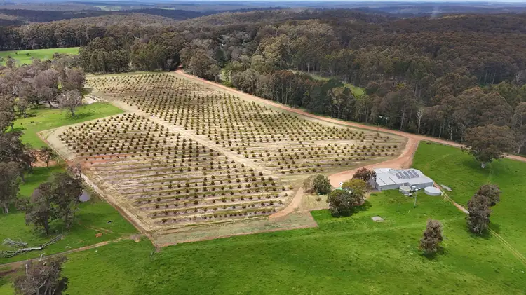 Proposed Lot 501 Hawke Road (Yeagarup), Pemberton WA 6260