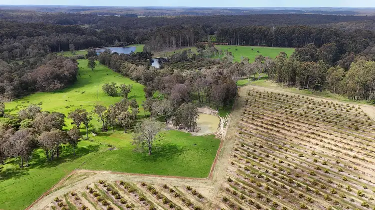 Fifth view of Homely rural property listing, Proposed Lot 501 Hawke Road (Yeagarup), Pemberton WA 6260