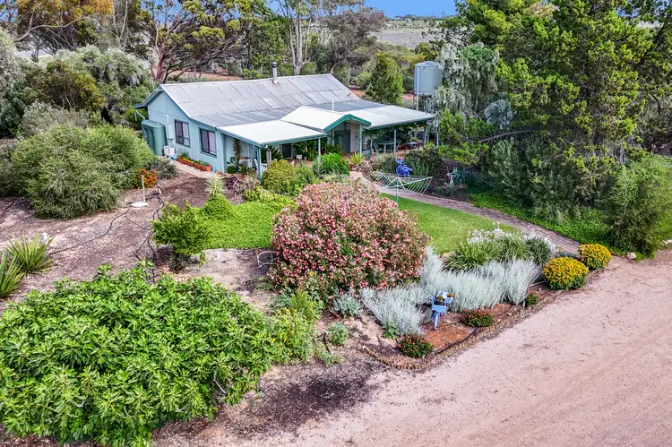 Main view of Homely house listing, 21715 Sturt Highway, Paringa SA 5340