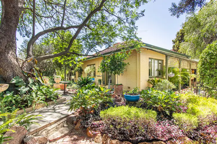 127 Manning Road, Bentley WA 6102