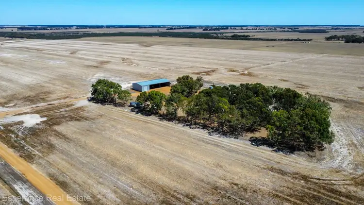 Sixth view of Homely rural property listing, Lot 12 Bates Road, Monjingup WA 6450